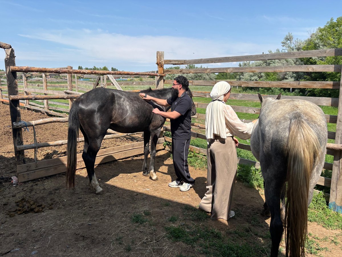 Day 10: Shepherding Horses, Mastering Skills at the Hippodrome and Cultural Immersion - Photo 3